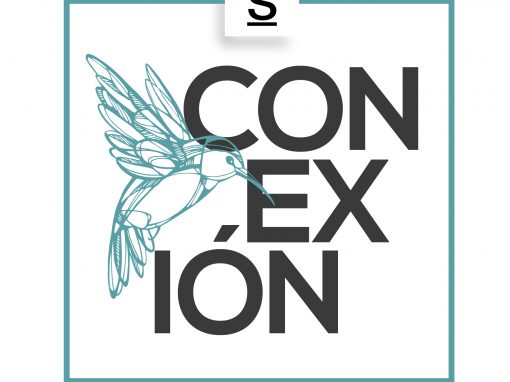 Conexión