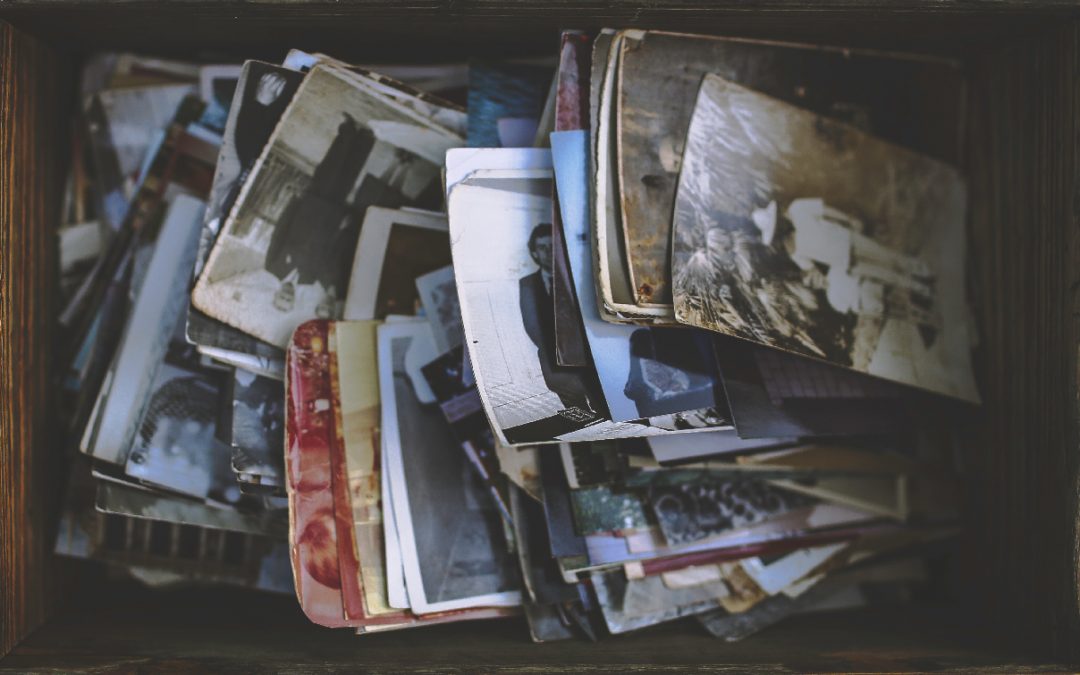 Historia familiar 101