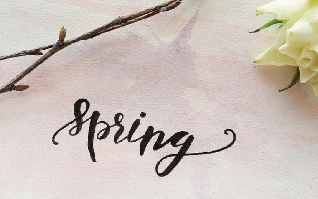 Lettering (sábados)