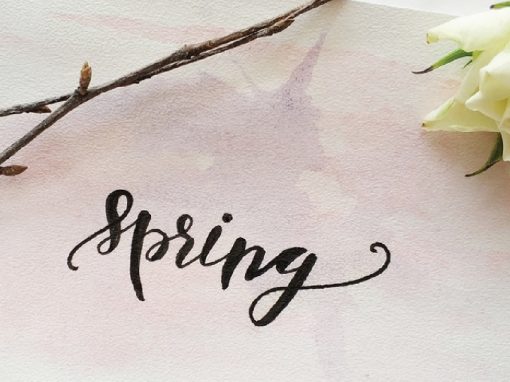 Lettering (sábados)