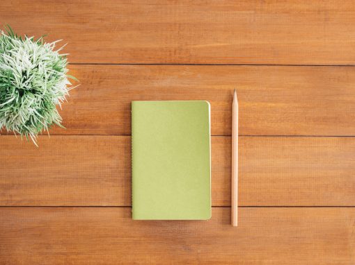 Escritura Efectiva