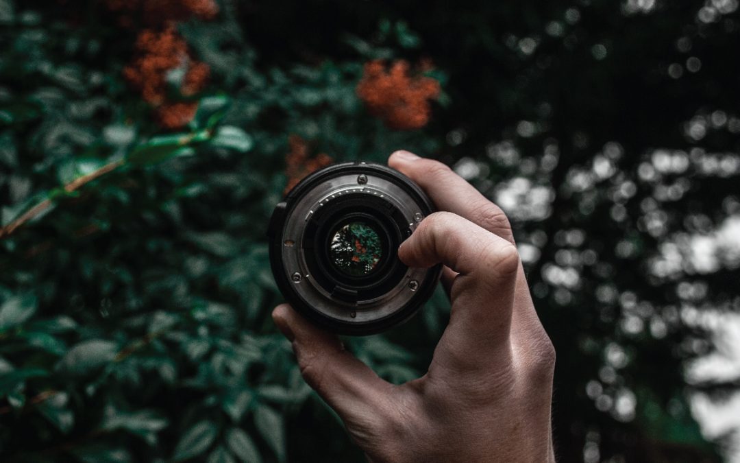 Fotografía de retrato