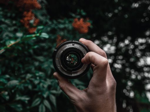 Fotografía de retrato