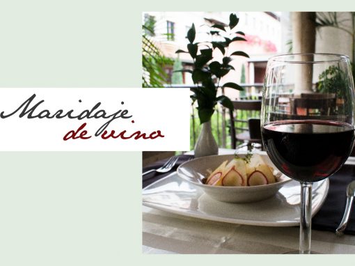 Maridaje de vinos