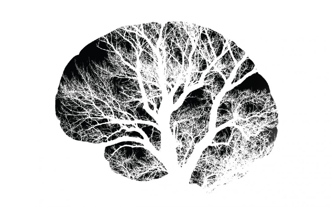 Taller: Bases para realizar una psicoterapia efectiva