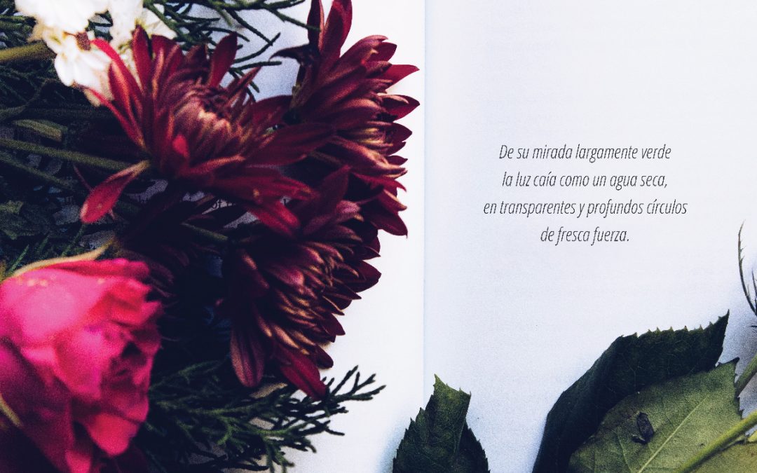 Poesía para cantautores y no cantautores