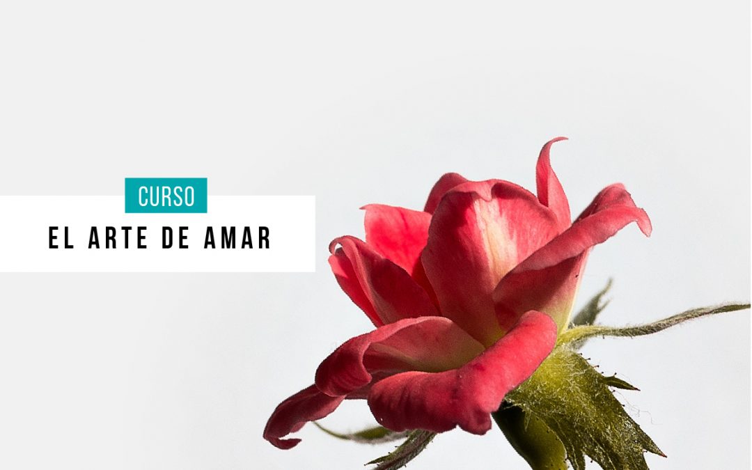 Curso: El arte de amar
