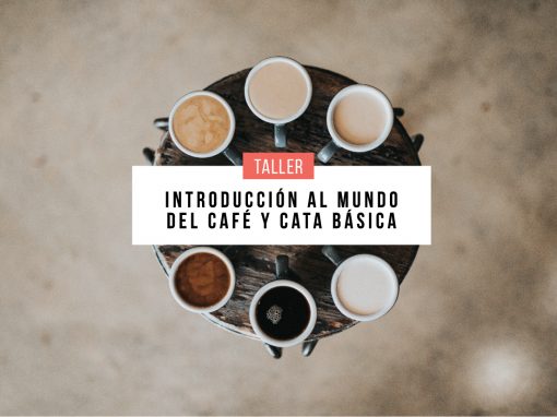 Introducción al mundo del café y la cata básica