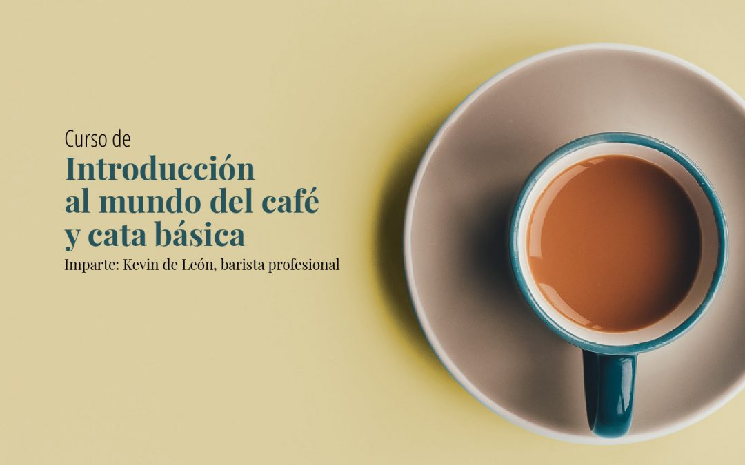 Introducción al mundo del café y la cata básica