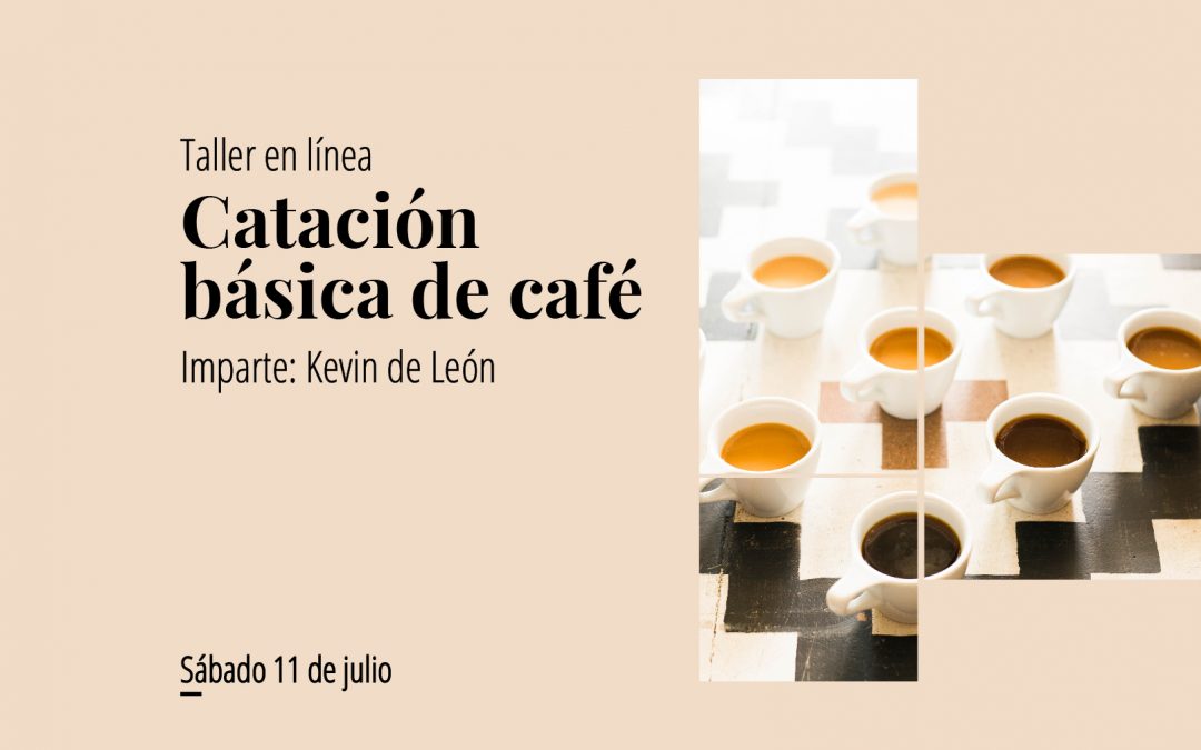 Taller en línea: Catación básica de café