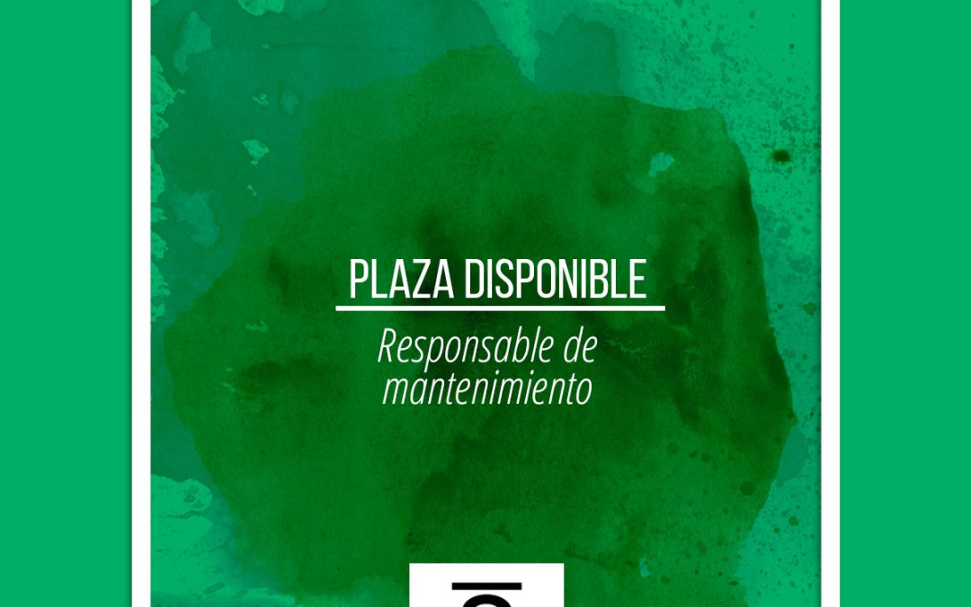 Plaza: responsable de mantenimiento