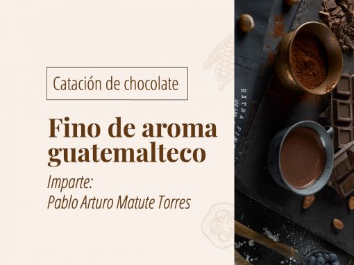 Catación de chocolate fino de aroma guatemalteco