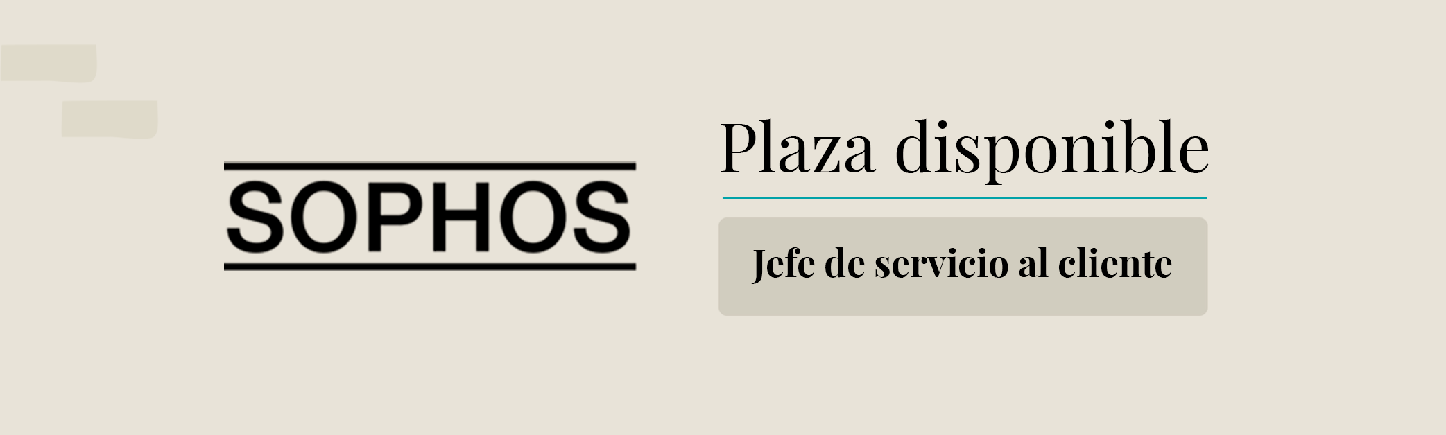 Banner Web