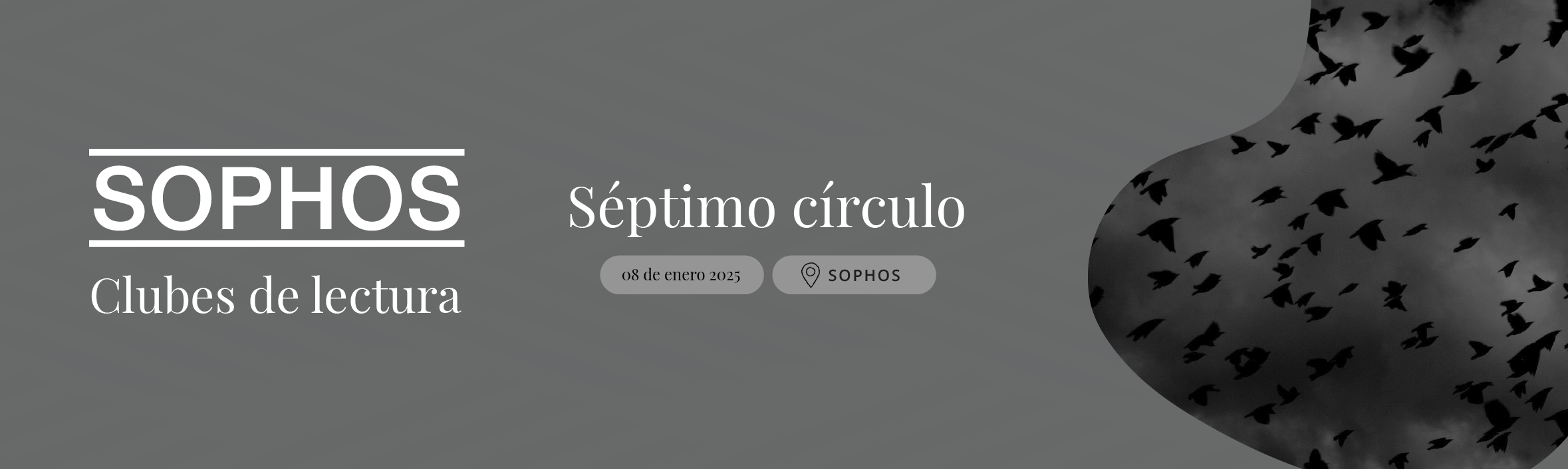 clubes 11-04