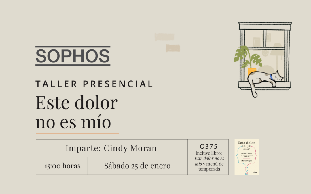 Taller: Este dolor no es mío