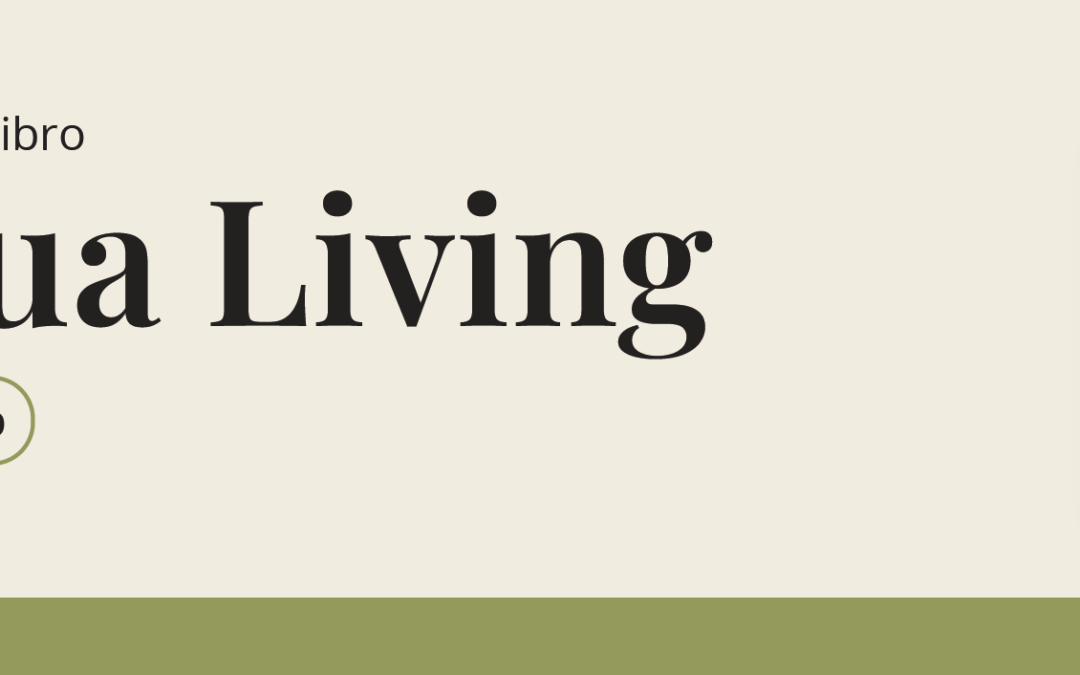 Presentación de libro: Antigua living