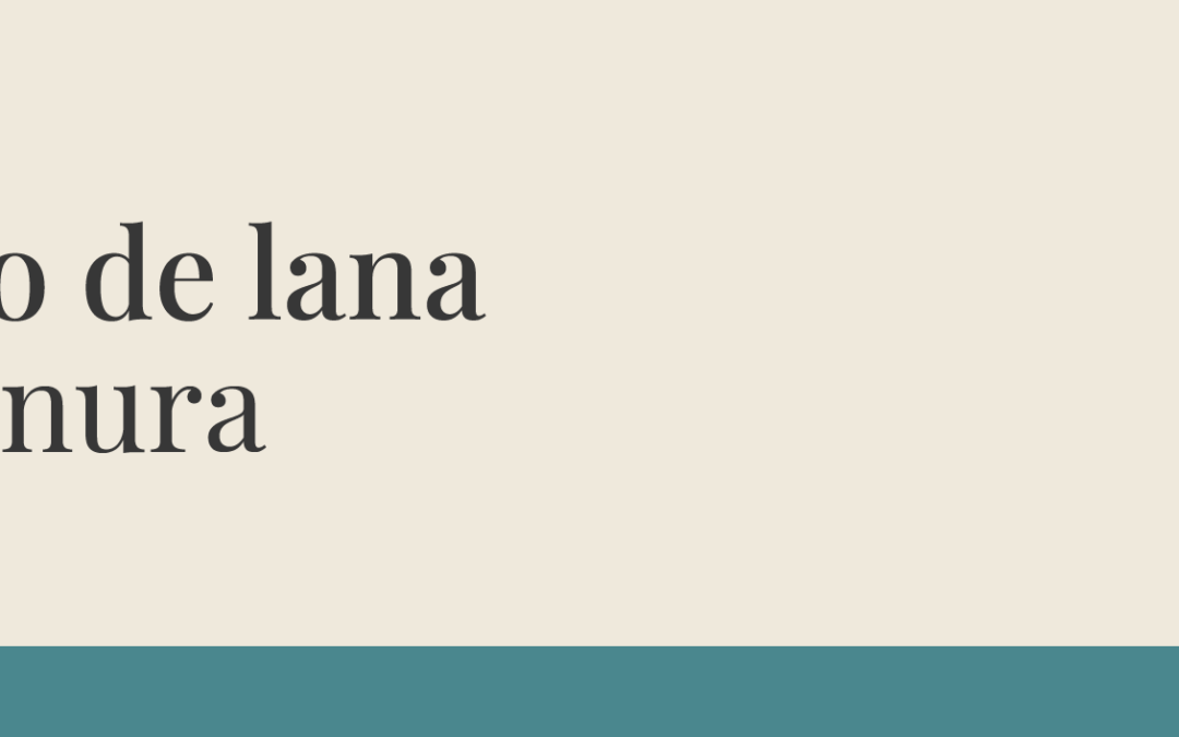 Taller: Mi totoro de lana «arte y ternura»